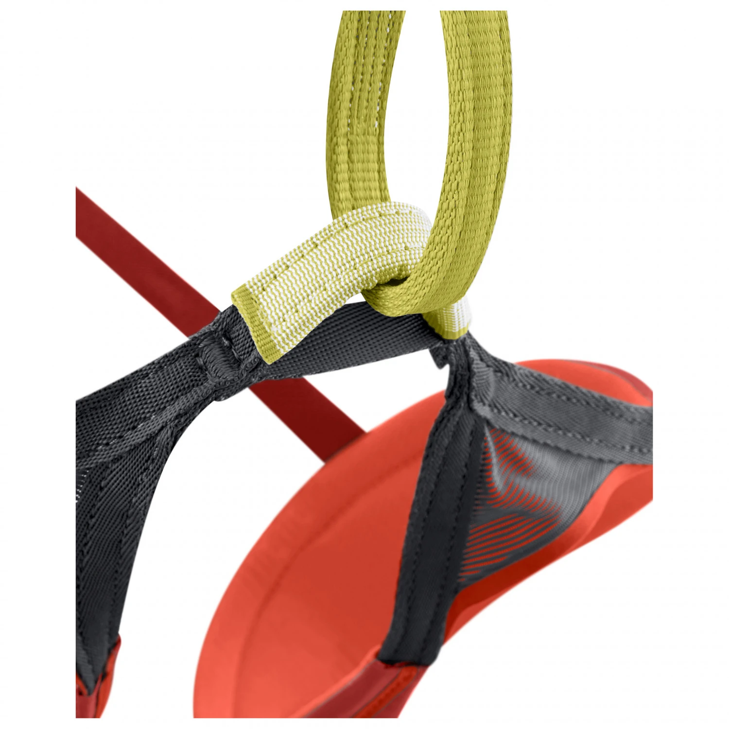 Edelrid - Sirana - Climbing Harness 6 Edelrid - Sirana - Climbing Harness - Image 4