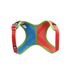 Ocun - Kid's Webee Chest - Chest Harness